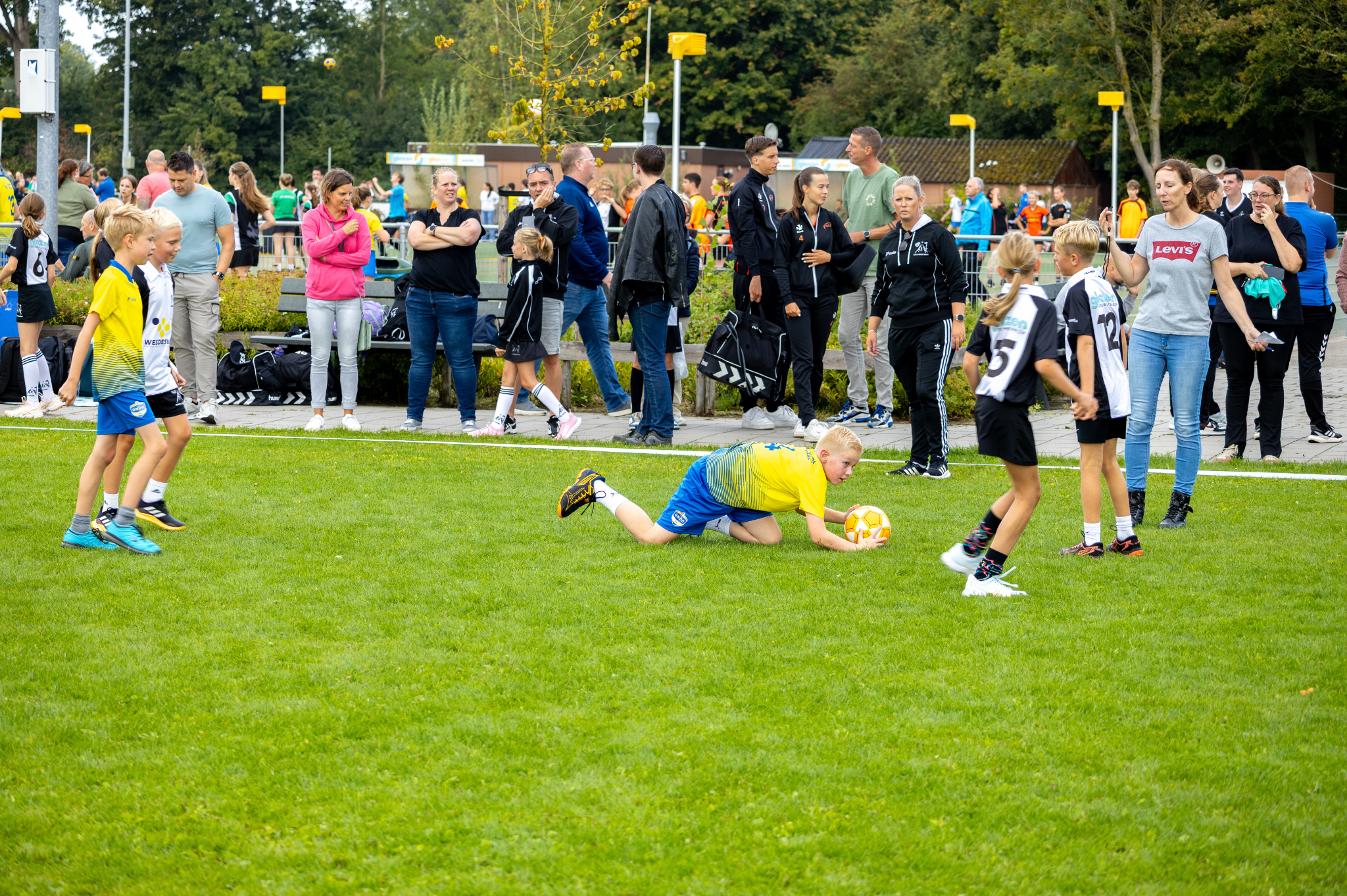 Vacature: Duo Veilig Sportklimaat 🛡️🏐