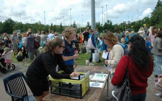 In-Staet Schoolkorfbaltoernooi 2025