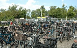 In-Staet Schoolkorfbaltoernooi 2025 43