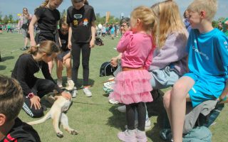 In Staet Schoolkorfbaltoernooi 2026 (foto's) 72