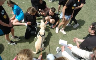 In Staet Schoolkorfbaltoernooi 2026 (foto's) 73